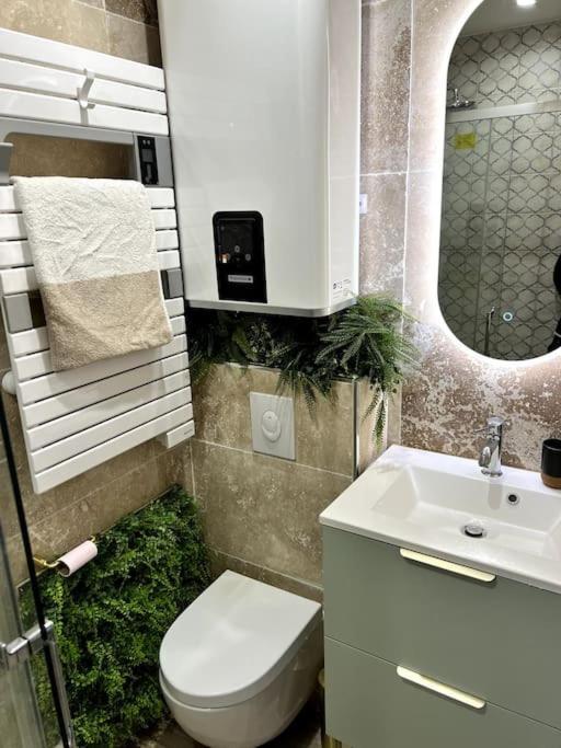Studio 2 Neuf A 100M Des Plages Et De La Gare Saint-Raphael  Ngoại thất bức ảnh
